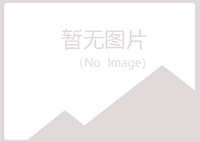 偃师白山服务有限公司